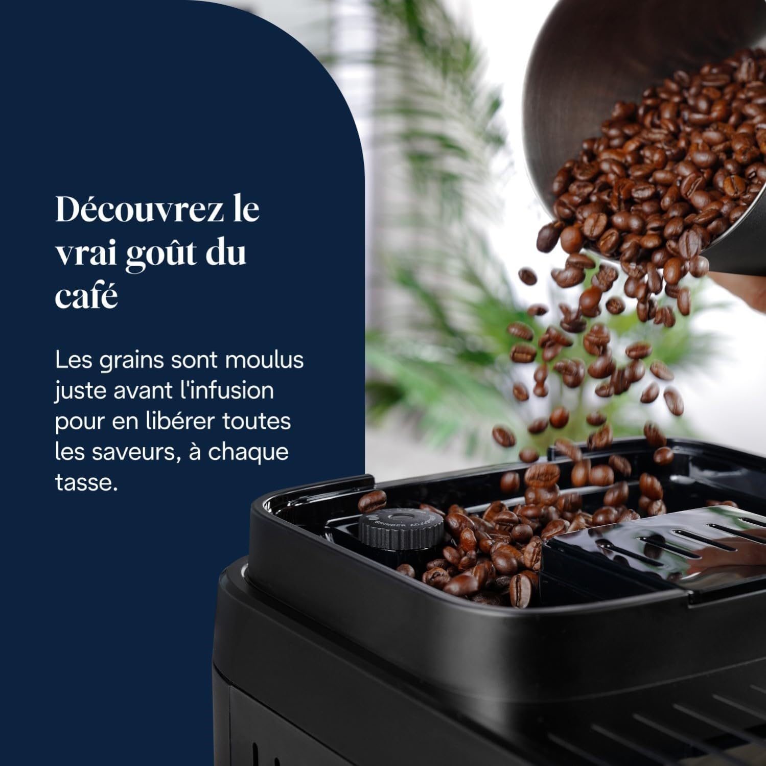 CaffeMatic Magnifica Evo Next - Perfetto Machine à Café Automatique avec LatteCrema